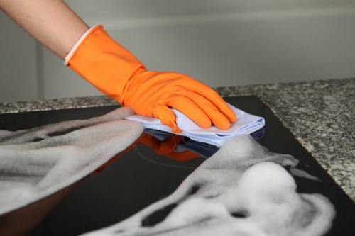 Home regular cleaning routine in a kitchen area