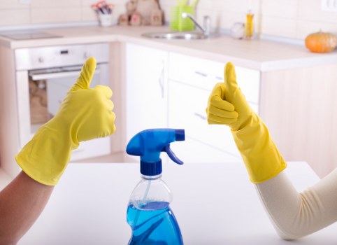Window cleaning tools including squeegee and extension pole