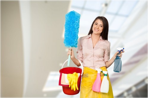Tools and supplies used for deep cleaning surfaces