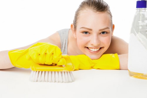 Professional move in cleaning preparation in an empty room