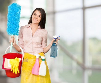 Checklist and cleaning tools for a one off cleaning appointment