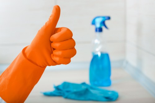 Residential window cleaning for a bright and tidy home