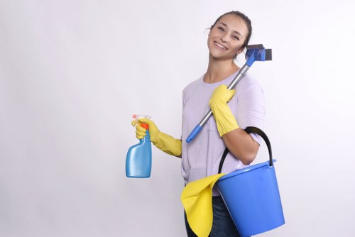 Removing stains during sofa cleaning