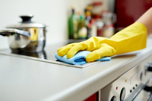 Detailed move in cleaning of kitchen and surfaces