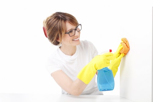 Commercial Brompton cleaning professionals maintaining a polished workplace