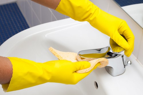 Natural and chemical oven cleaning supplies arranged on countertop