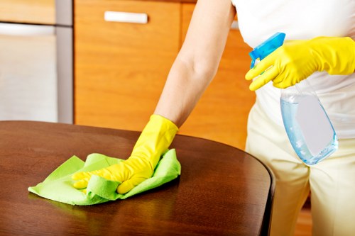 Professional commercial cleaning for a polished corporate environment